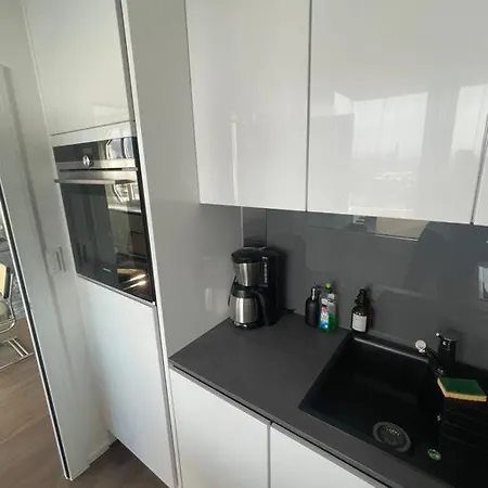 Luxus Mit Skyline View. * 프랑크푸르트